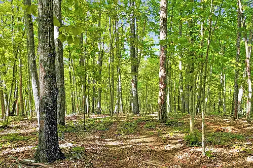 Georgia Land Buyers